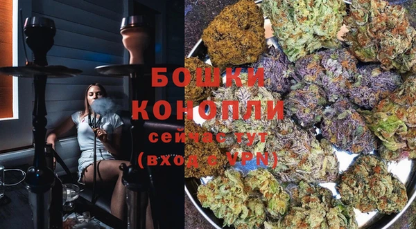 ПСИЛОЦИБИНОВЫЕ ГРИБЫ Пестово