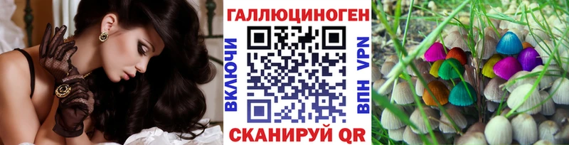 купить закладку  Андреаполь  omg онион  Галлюциногенные грибы Psilocybine cubensis 